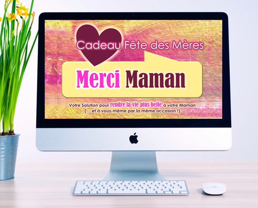 Programme en ligne sur ordinateur
